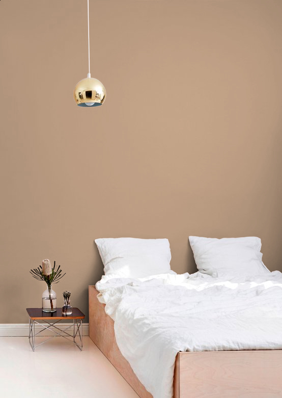 TVT J462 - Brown Paint Colour | Tikkurila