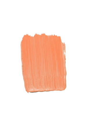 TVT K314 - Orange Paint Colour | Tikkurila