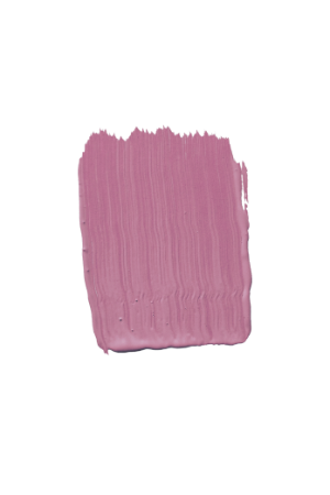 TVT K337 - Purple Paint Colour | Tikkurila