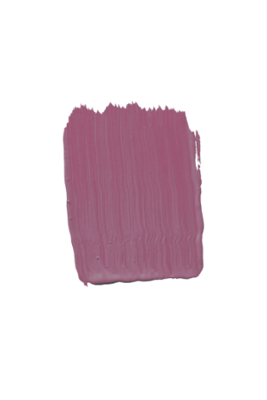 TVT N337 - Purple Paint Colour | Tikkurila