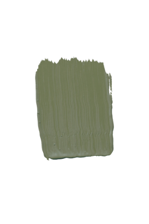 TVT N385 - Green Paint Colour | Tikkurila