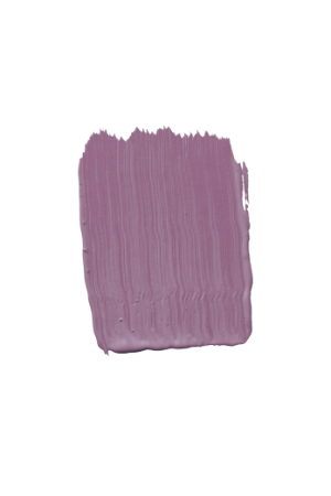 TVT S341 - Purple Paint Colour | Tikkurila