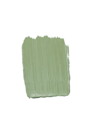 TVT S384 - Green Paint Colour | Tikkurila