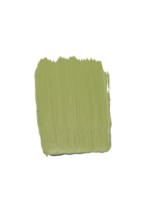 TVT S387 - Green Paint Colour | Tikkurila